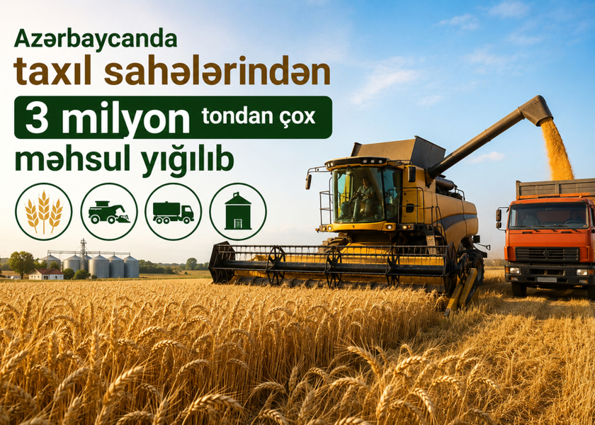 Azərbaycanda taxıl sahələrindən 3 milyon tondan çox məhsul yığılıb