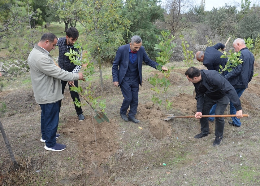 Saatlı rayonunda “Yaşıl dünya naminə həmrəylik ili” çərçivəsində ağacəkmə aksiyasına start verilmişdir