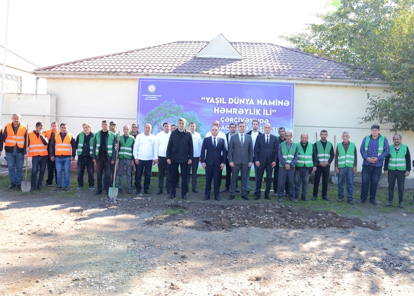 Saatlı rayonunda növbəti ağacəkmə aksiyası keçirilib